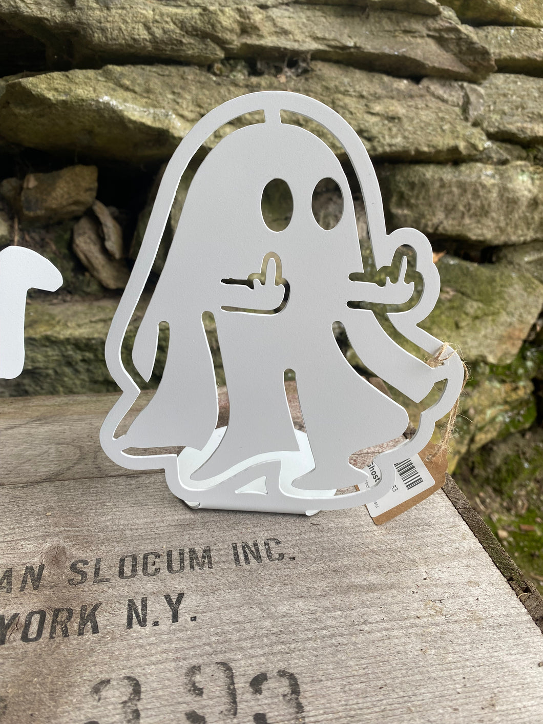 Rude ghost