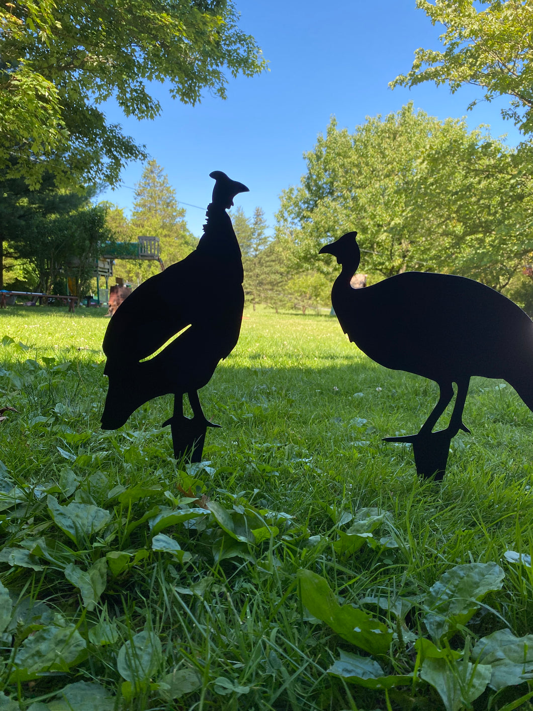 Guinea fowl yard stakes